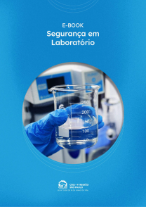 e-book - Segurança